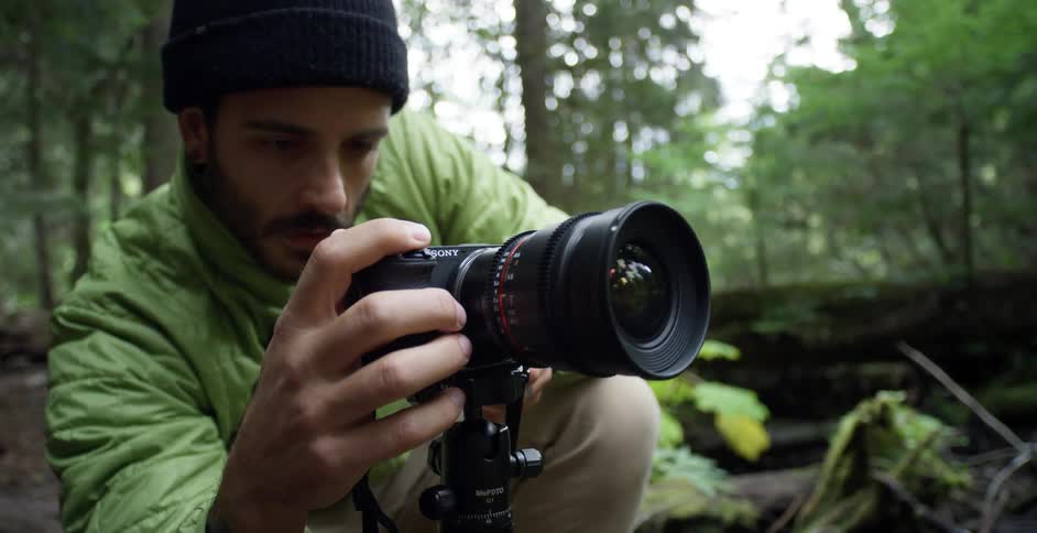 A man taking pictures in a forest