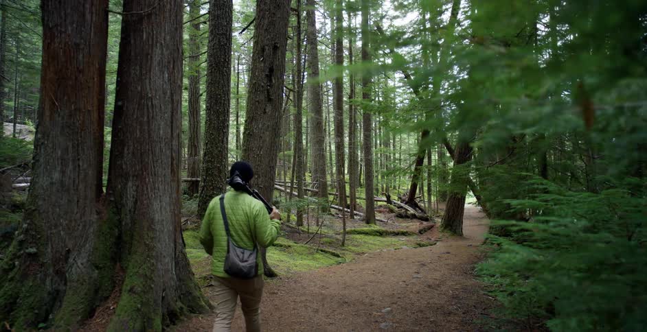 A man walks through the forest carrying a camera
