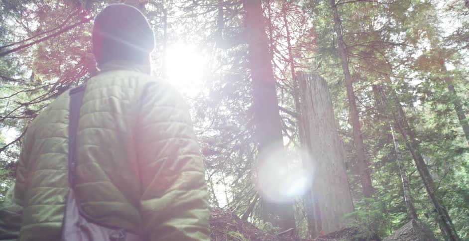 Man standing in the woods under the sunlight filtering through the branches