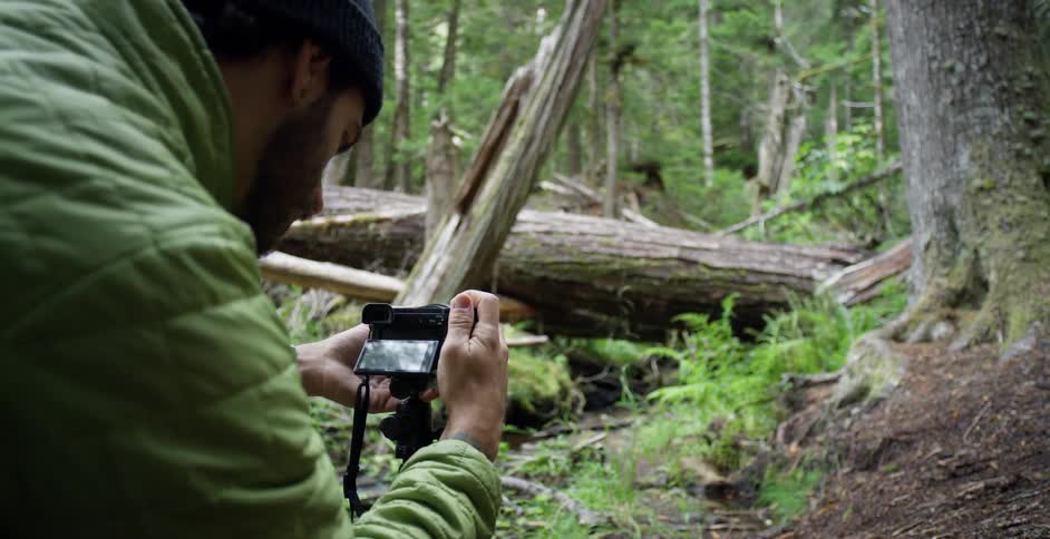 A man takes pictures in a forest
