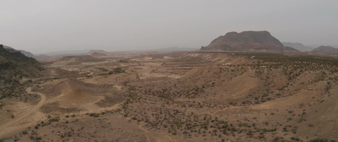 A valley is filled with scrub bushes in a desert
