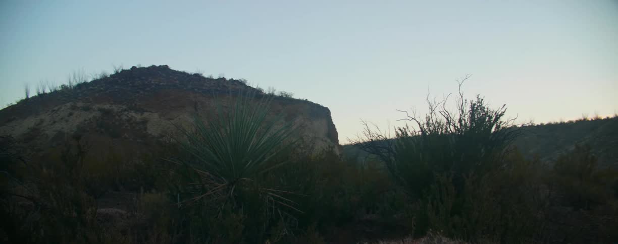 Vegetation dots hilltop under clear sky