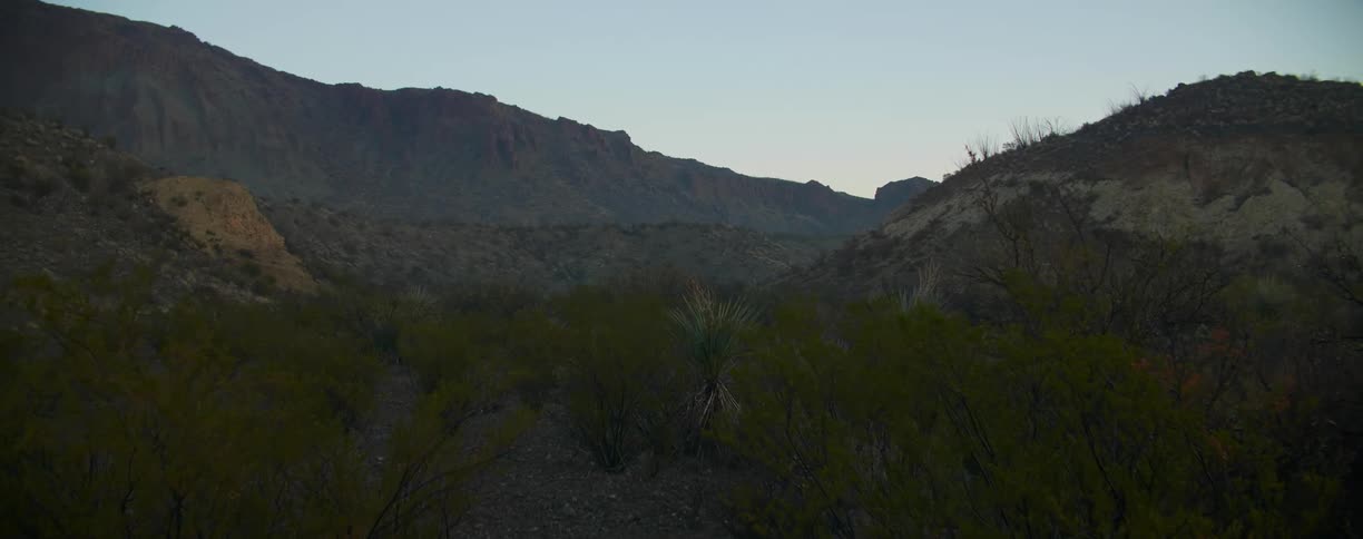 Brush grows in a mountain valley