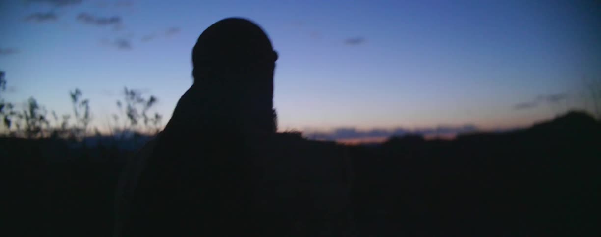 A man walks through nature at dusk