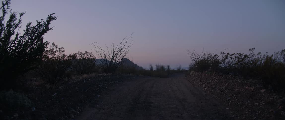 A dirt road runs through an area with bushes
