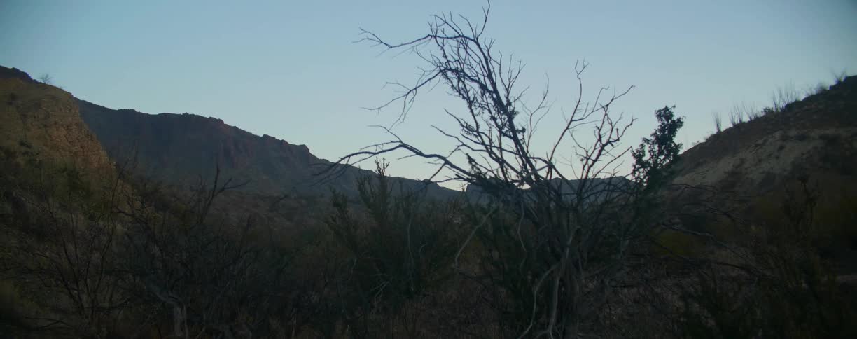 A landscape is displayed during midday