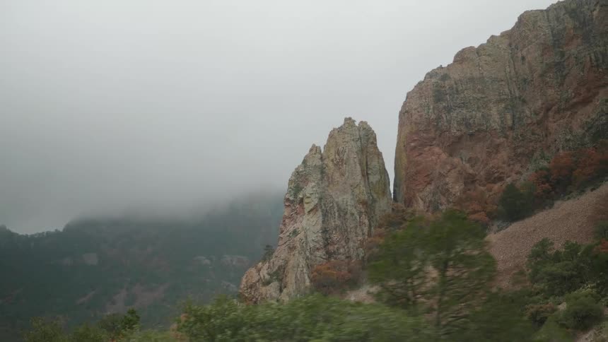 Trees along a road hide a mountain range