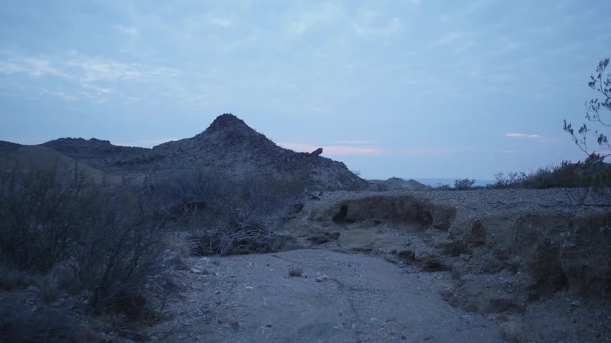 Scrub dots the landscape of a desert area