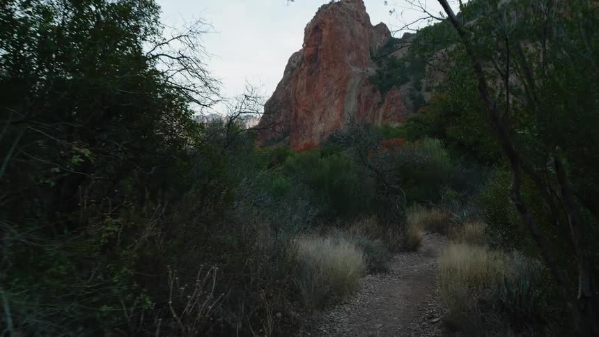A narrow path leading to a canyon