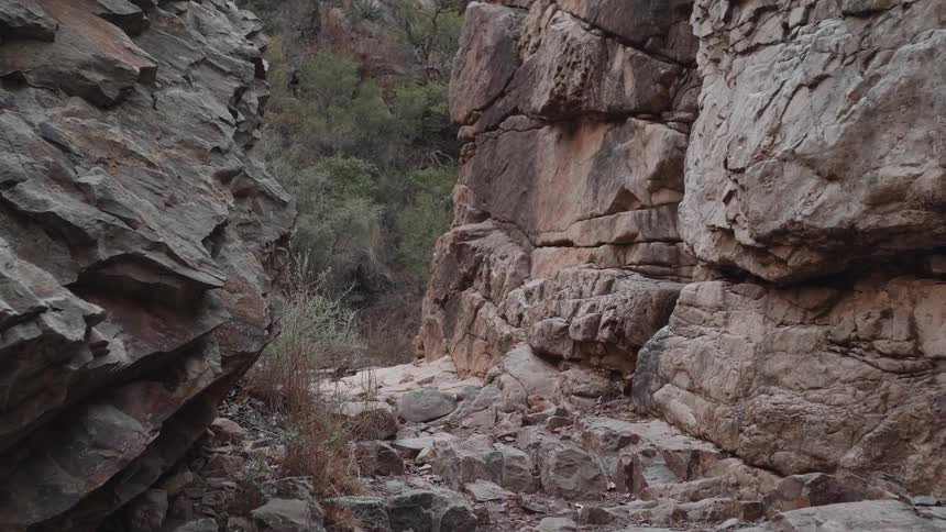 Rocky canyon walls and forest trees