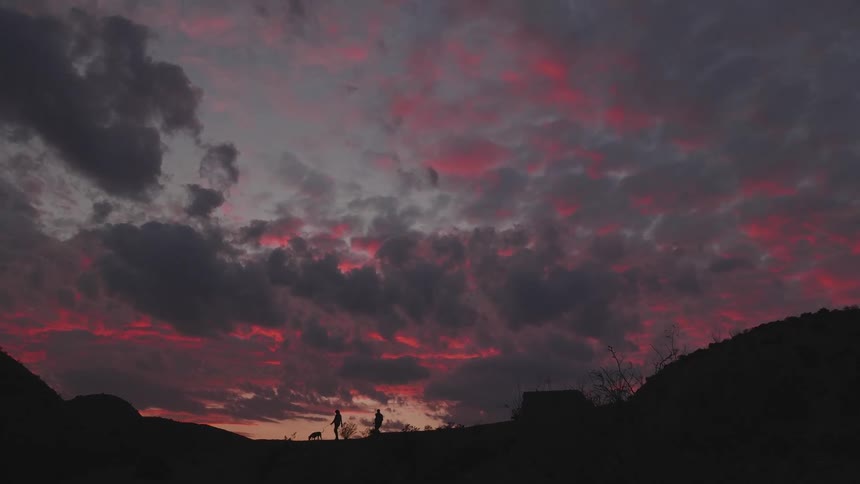 Three people walk their dogs outdoors while clouds hang overhead