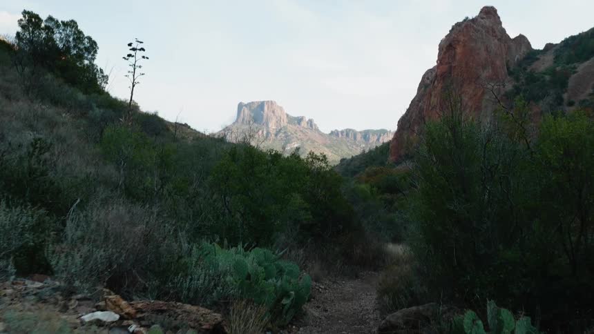 Cacti and scrub border trail between slope and sheer cliff