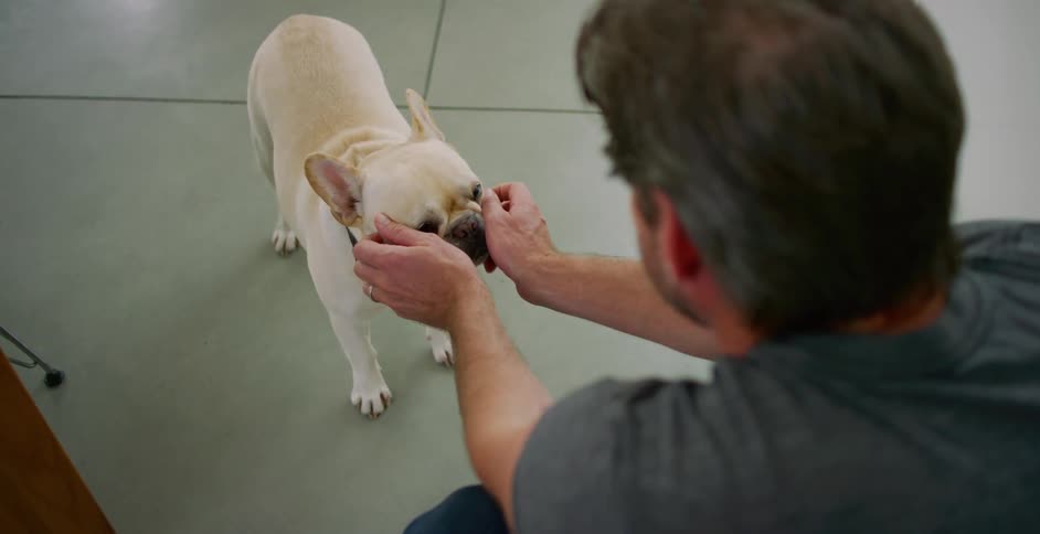 A man leans down petting his dog