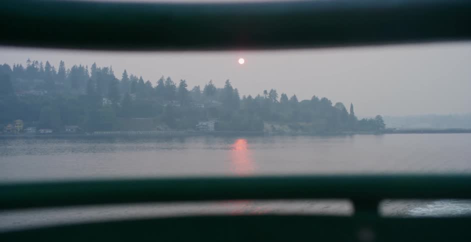The sun setting over the water