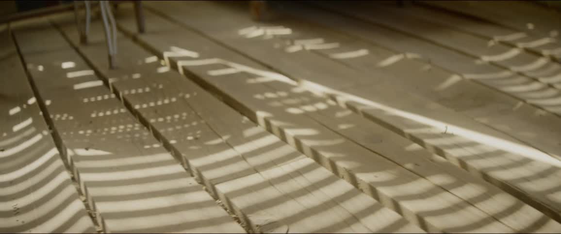 Cupped floorboards are illuminated by sunlight