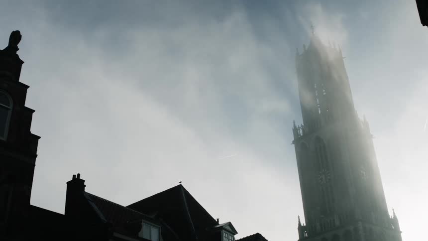 The bird flies over the building