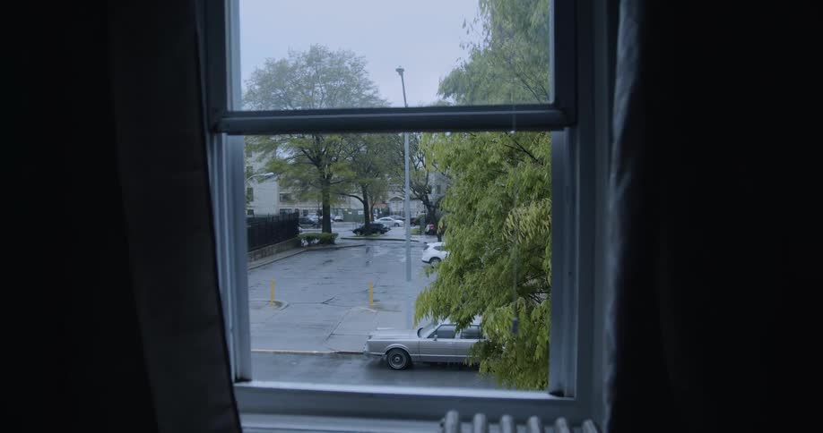 A bird flies past the window