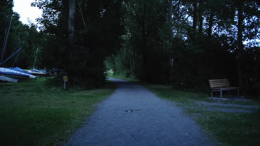 Boats and a bench sit on grass near a narrow path that runs through the woods