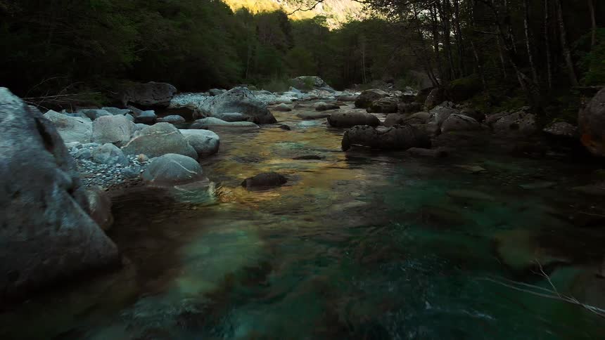 A stream flows over rocks in a forested area