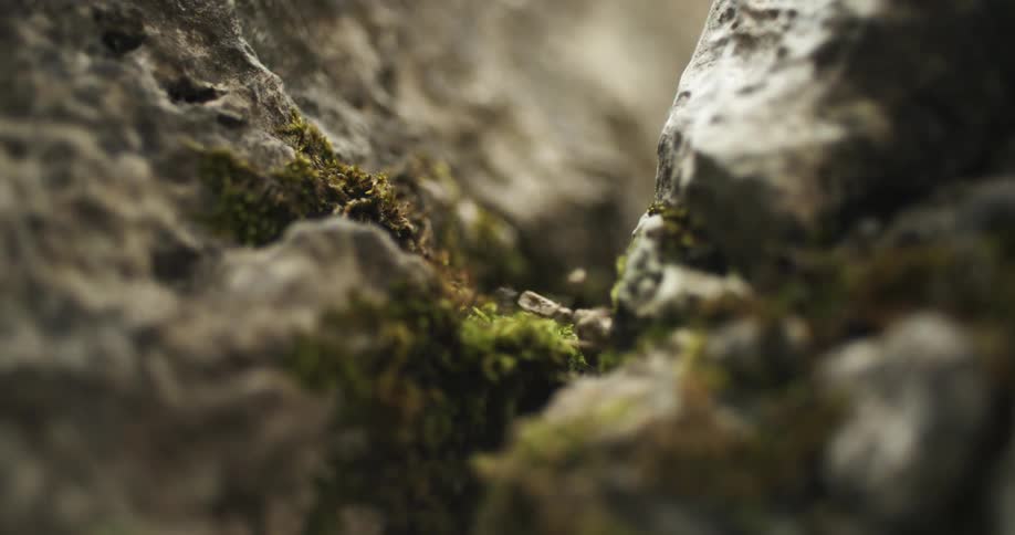 Small pebbles and rocks falling through a crack in the rocks covered with green moss