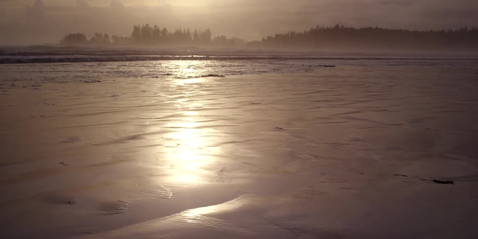 Foggy beach at sunrise