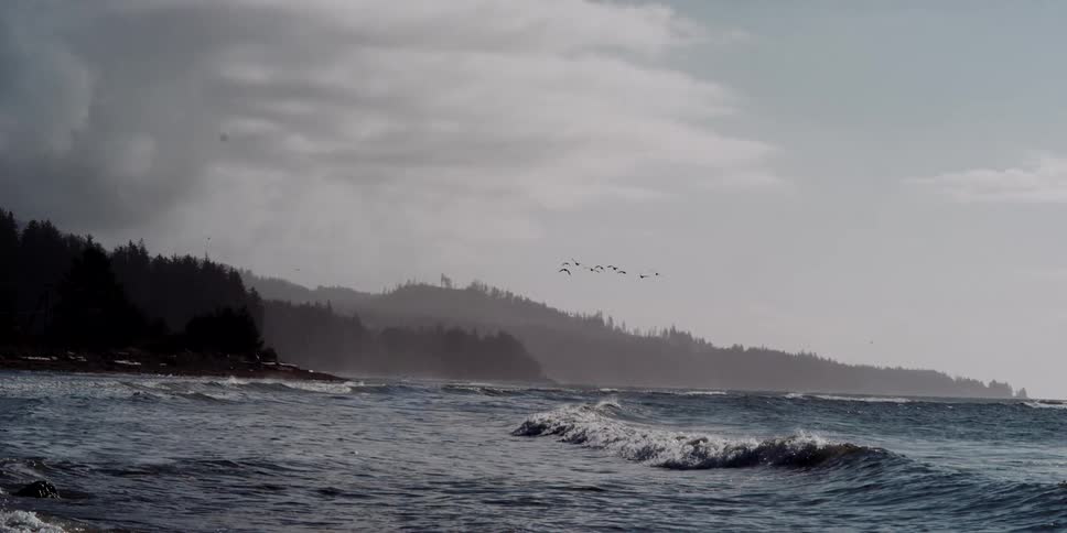 A flock of birds fly over waves rolling into a coast