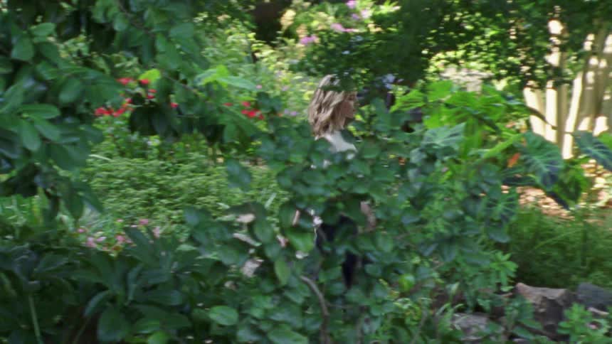 A woman walks through a garden with a book in her hand