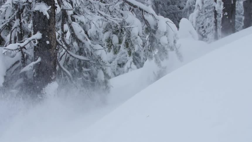 Snow spraying behind a person as they ski down a hill