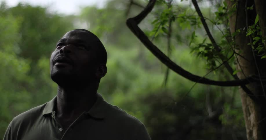 A man standing and looking up with trees and the sky in the background