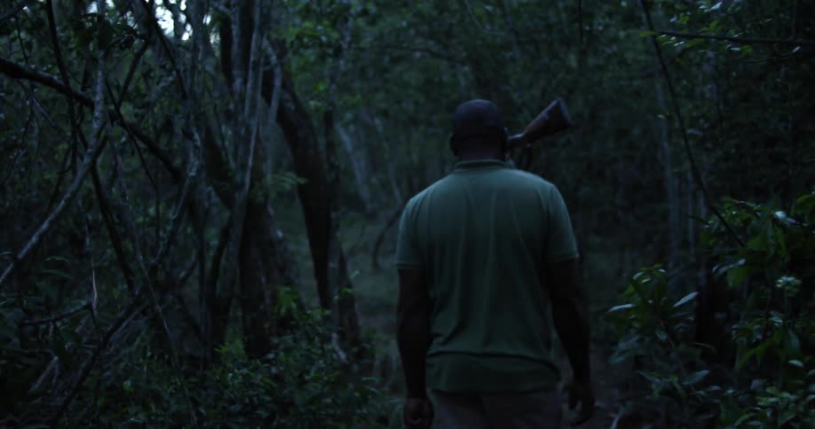 Two men with guns walk through dense forest