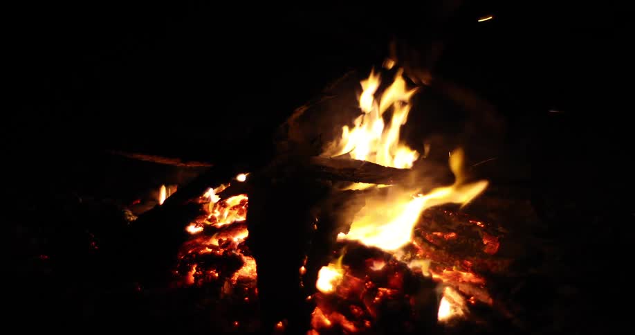 Wood being thrown into the flames of a campfire in the night