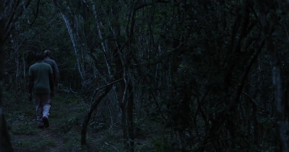 Two white men walk through a darkening forest