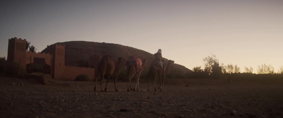 A person riding a camel leads two other camels through the desert near a building