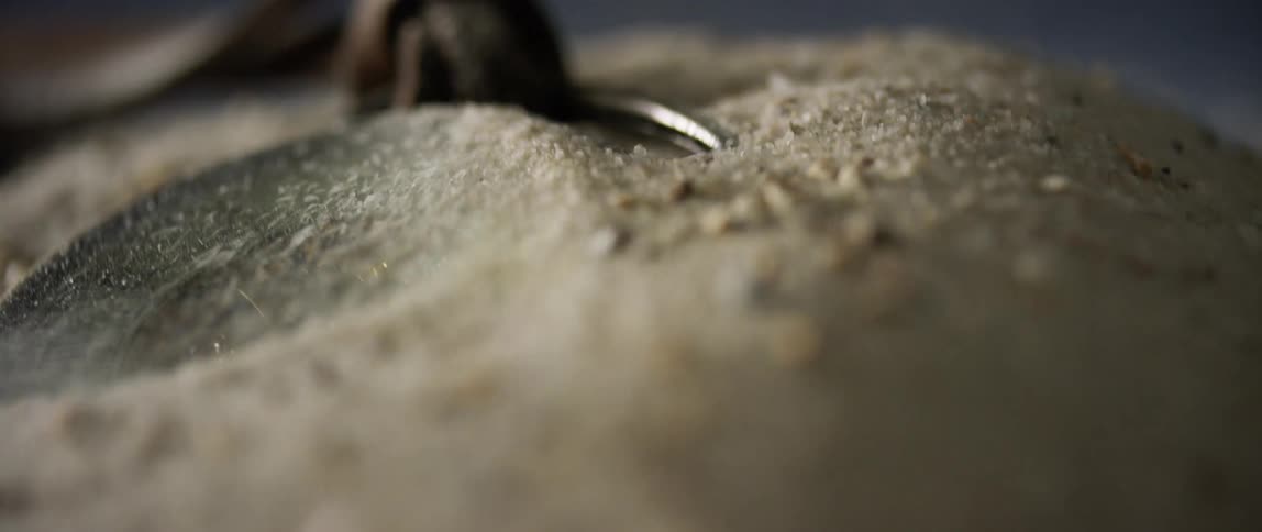 Grounded grains inside a machine starts shaking