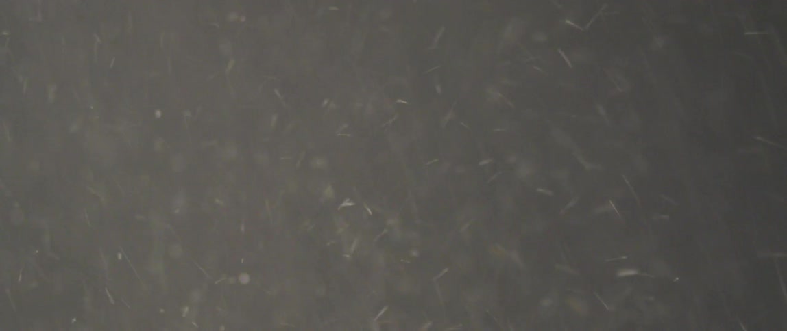 Grains fall against a neutral background bouncing on the floor