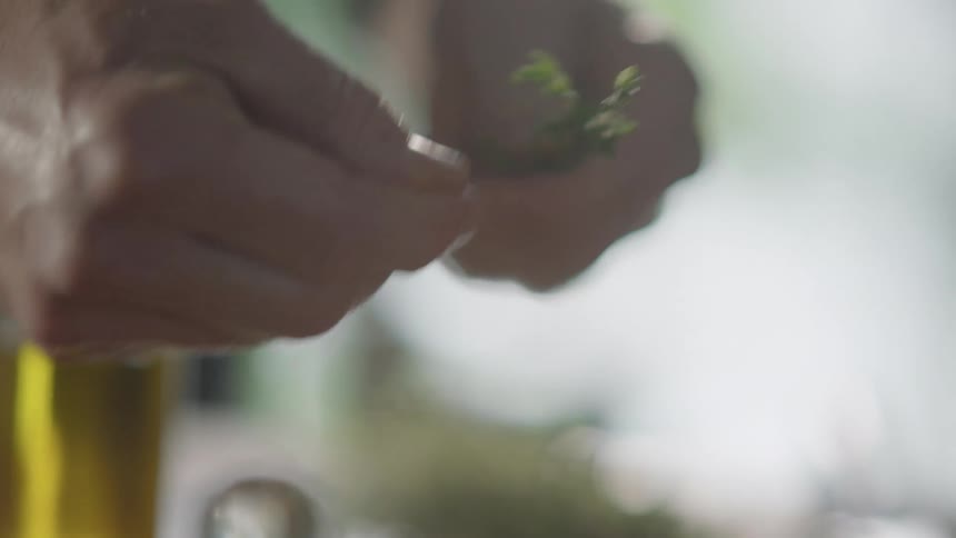 Hand tearing herb leaf and crushing it for seasoning