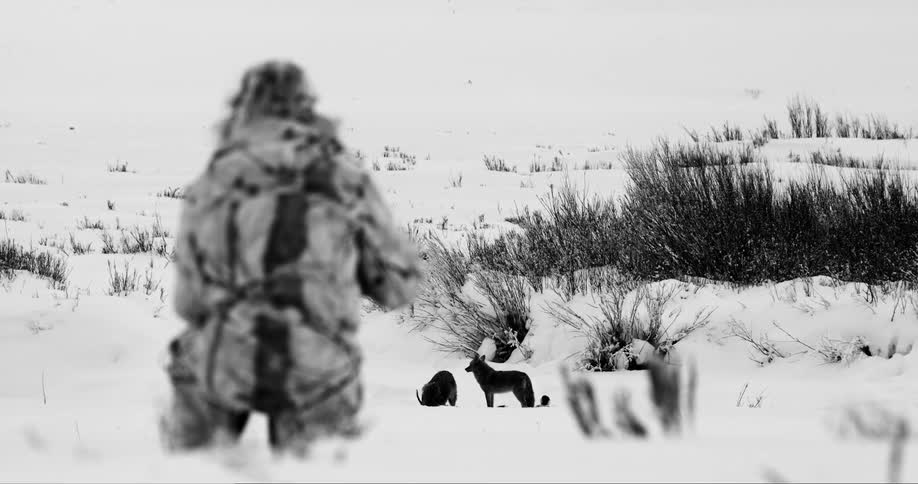 A man with a winter coat kneeling in the snow with two wolves in front of him