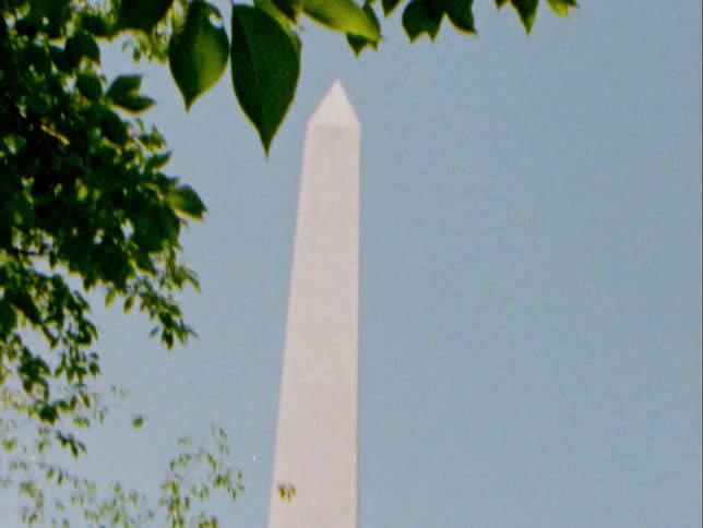 Trees with leaves with the lincoln memorial and the sky and clouds in the background