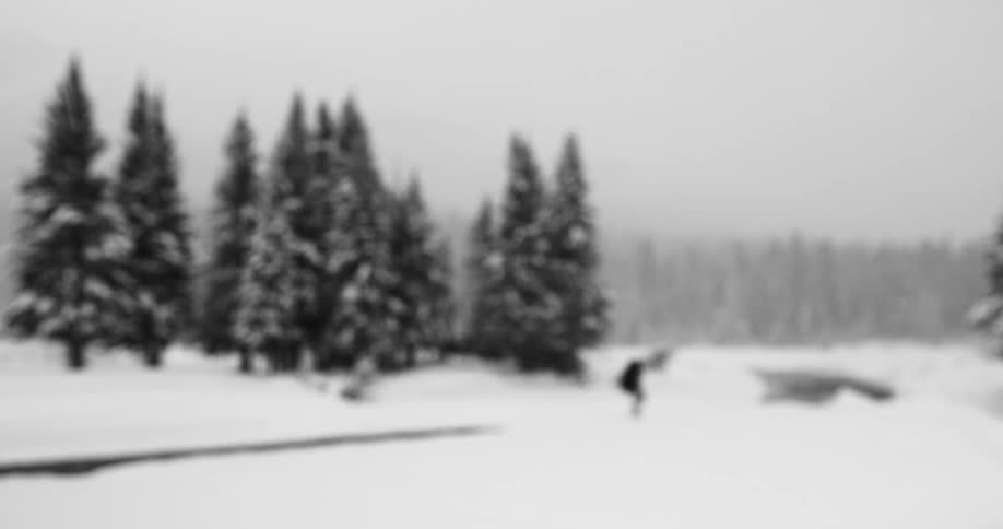 Hiker walks through the snow near the forest on a cloudy day