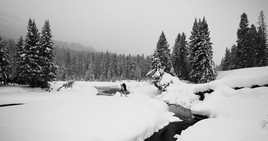 Man in full winter gear and backpack walks on the snow covered fields near a pine forest