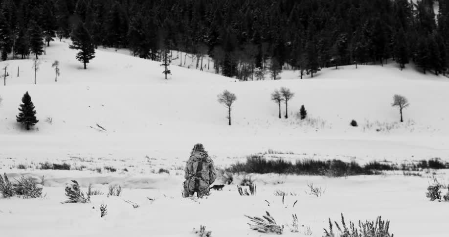 Hiker watches two animals and a bird as he stands in a snowy field