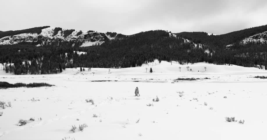 A person stands in the middle of a snow covered plain