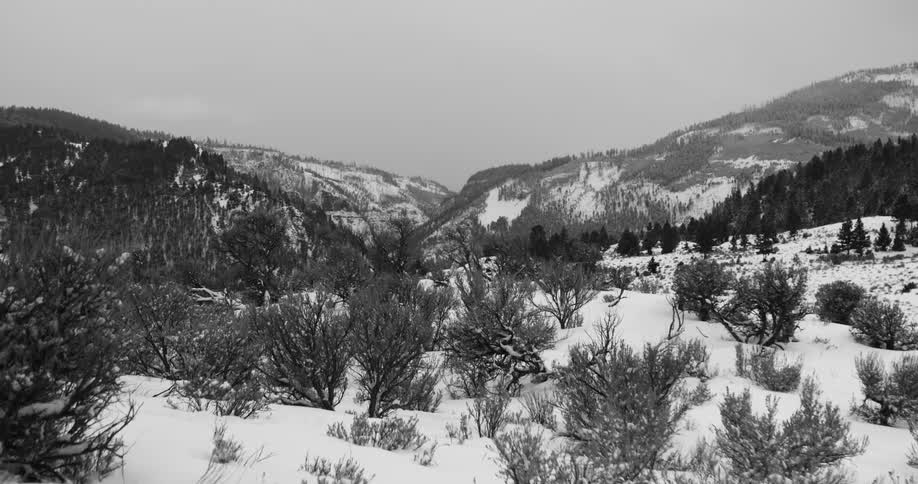 Black and white footage of strange figure walking through snowy wilderness