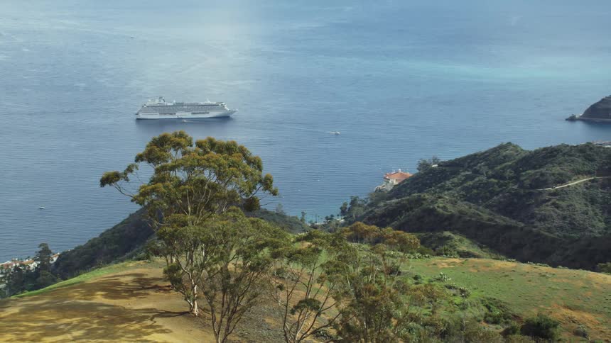 View of seaside town and cruise ship on water from atop mountains