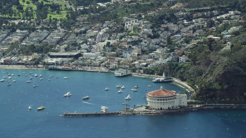 Dozens of small boats sail in the ocean next to a coastal neighborhood