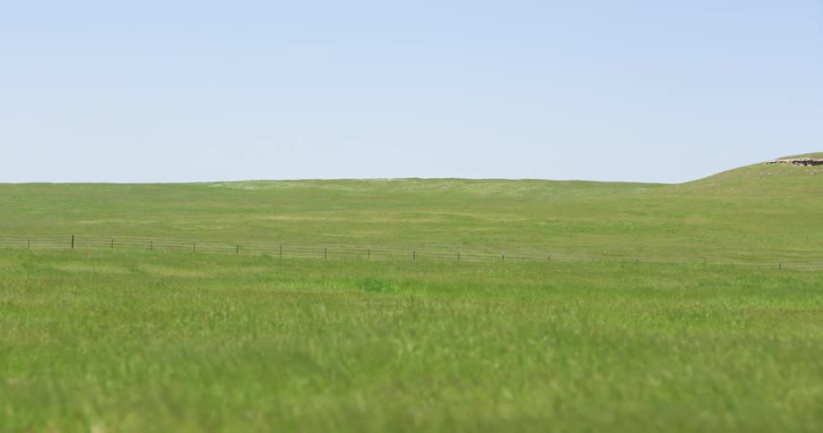 Landscape view of a grassland area