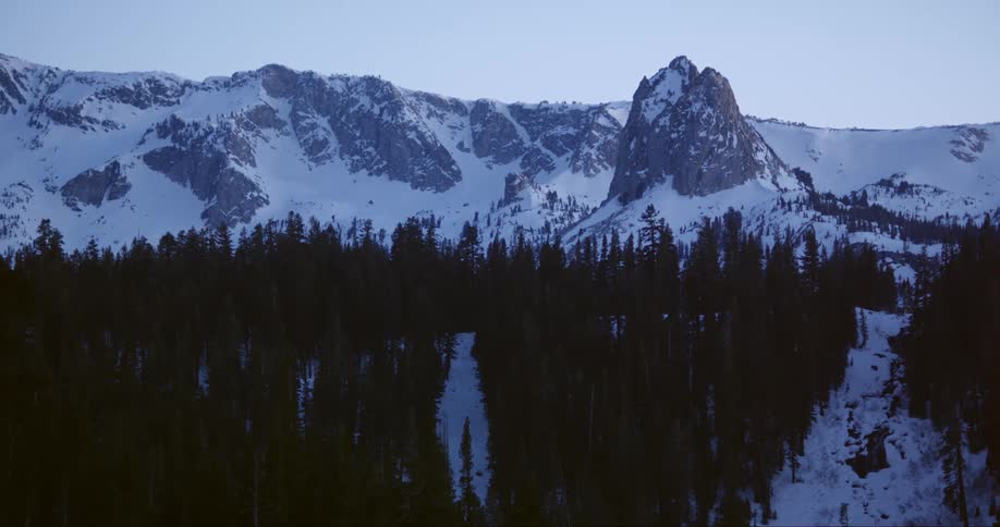 Mountain range above pine forest in winter