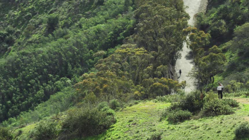 Young couple stand on the top of a hill surrounded by forests