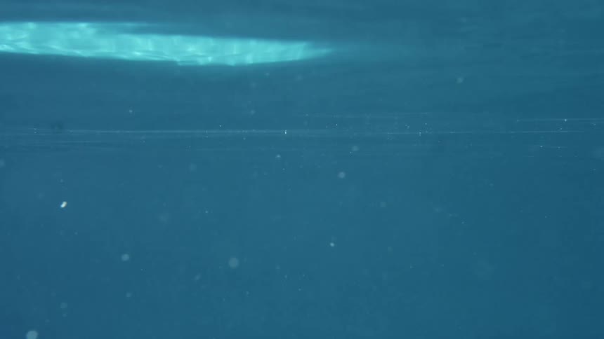 Bubbles float to the surface of the water