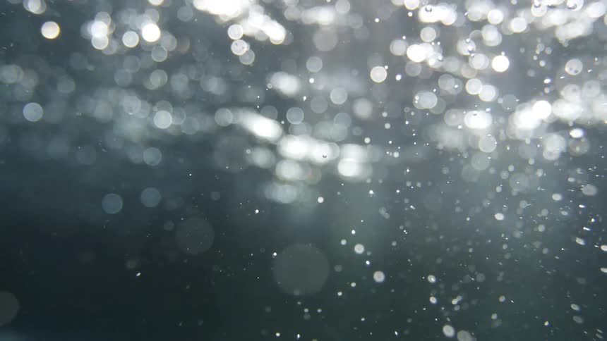 Bubbles rise toward surface past sun rays